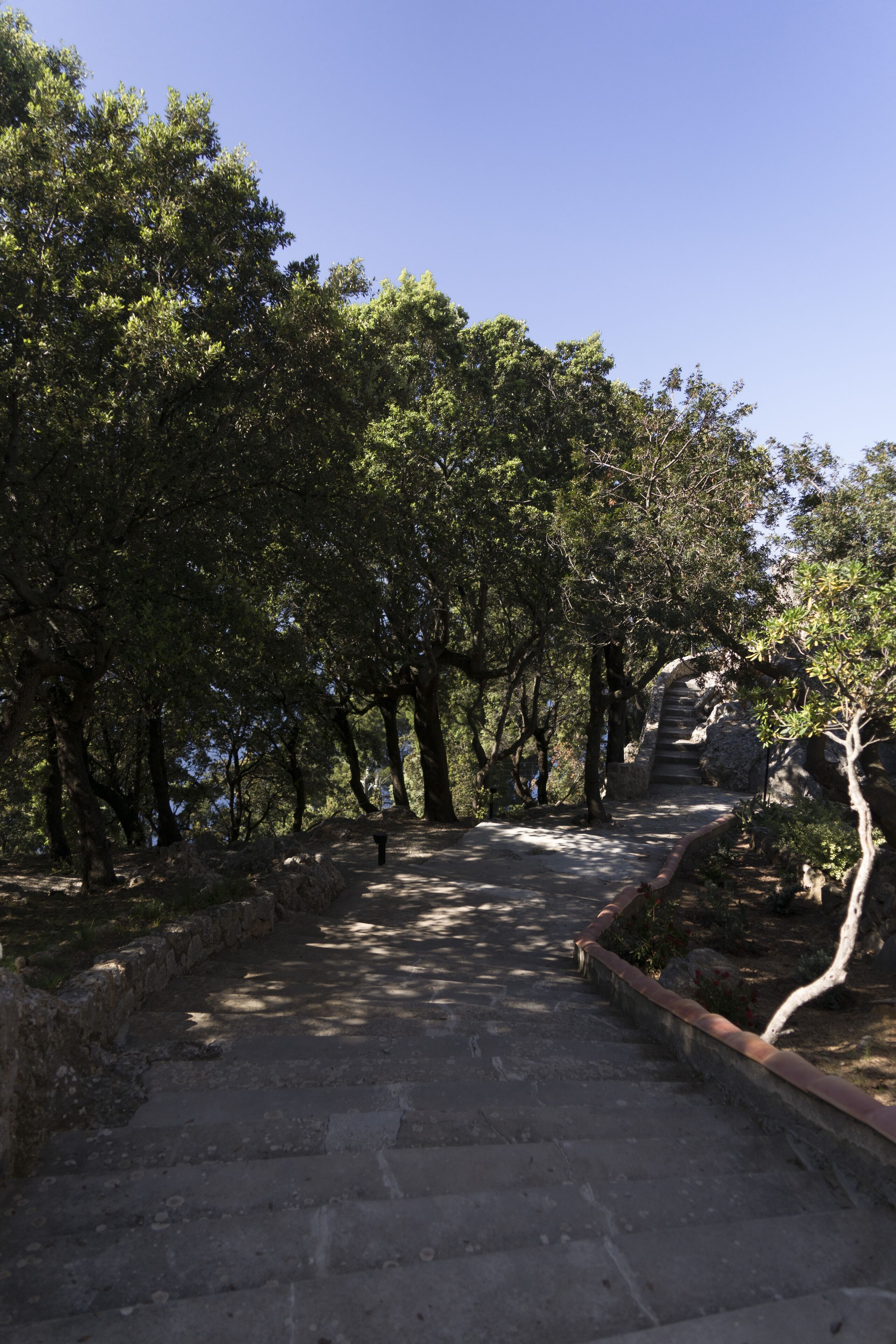 Una escalera de piedra que sube una colina, rodeada de árboles y terreno rocoso.