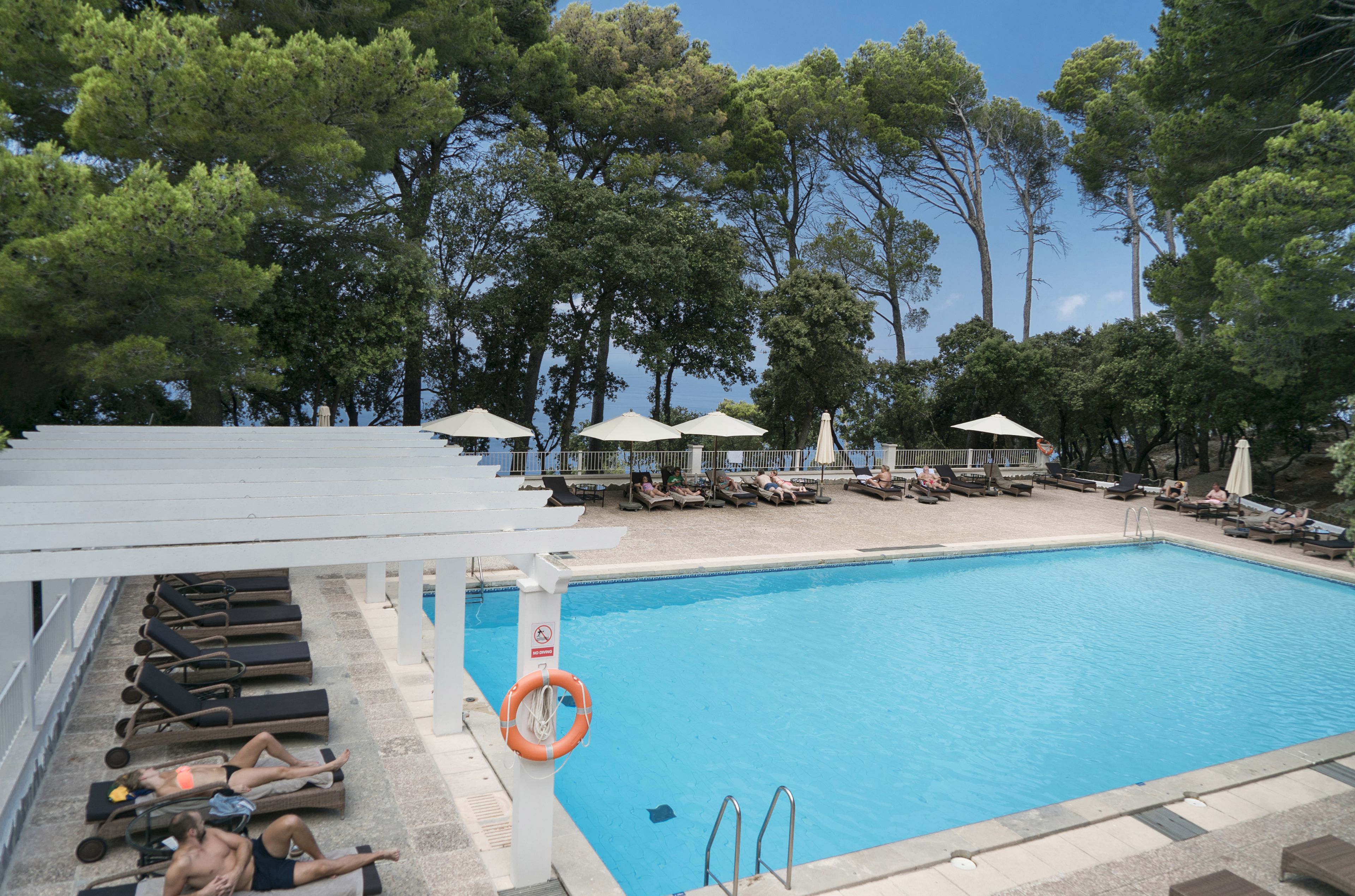 A pool area with sun loungers and umbrellas, surrounded by trees.