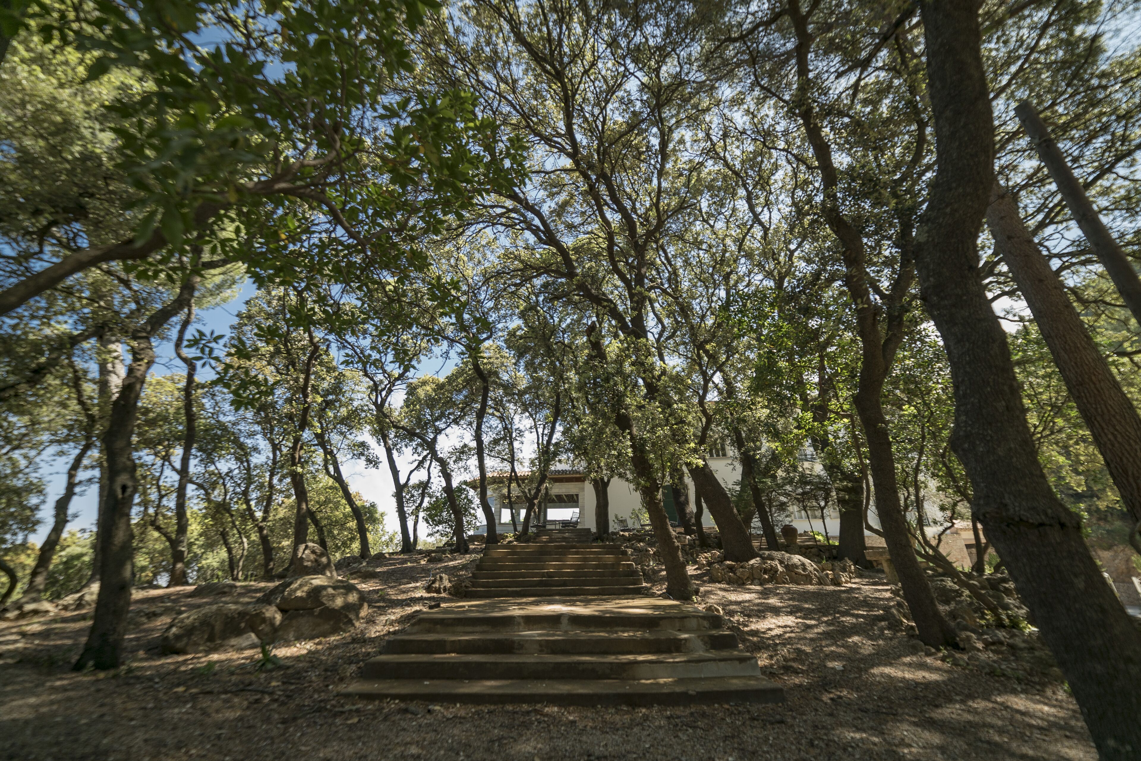A pathway leading to a building surrounded by trees.