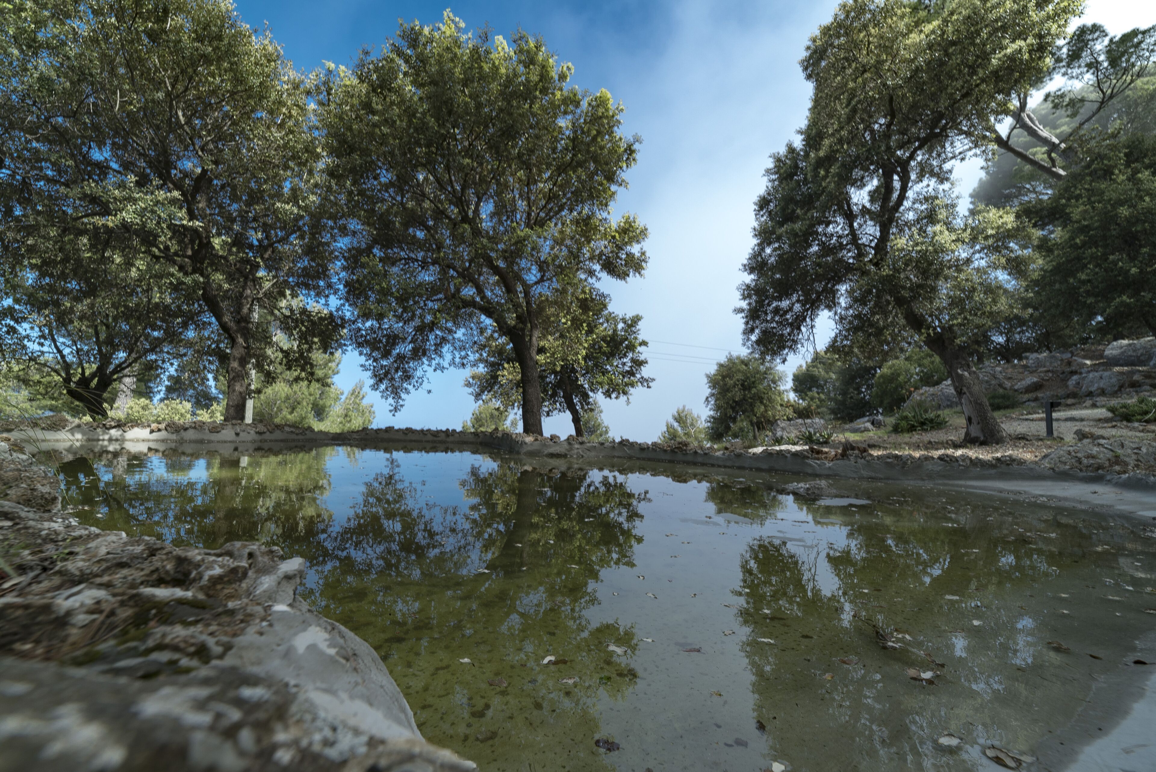 A serene outdoor setting with a pond surrounded by trees and rocks.