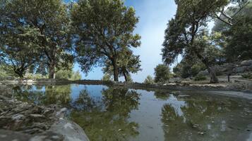 A serene outdoor setting with a pond surrounded by trees and rocks.