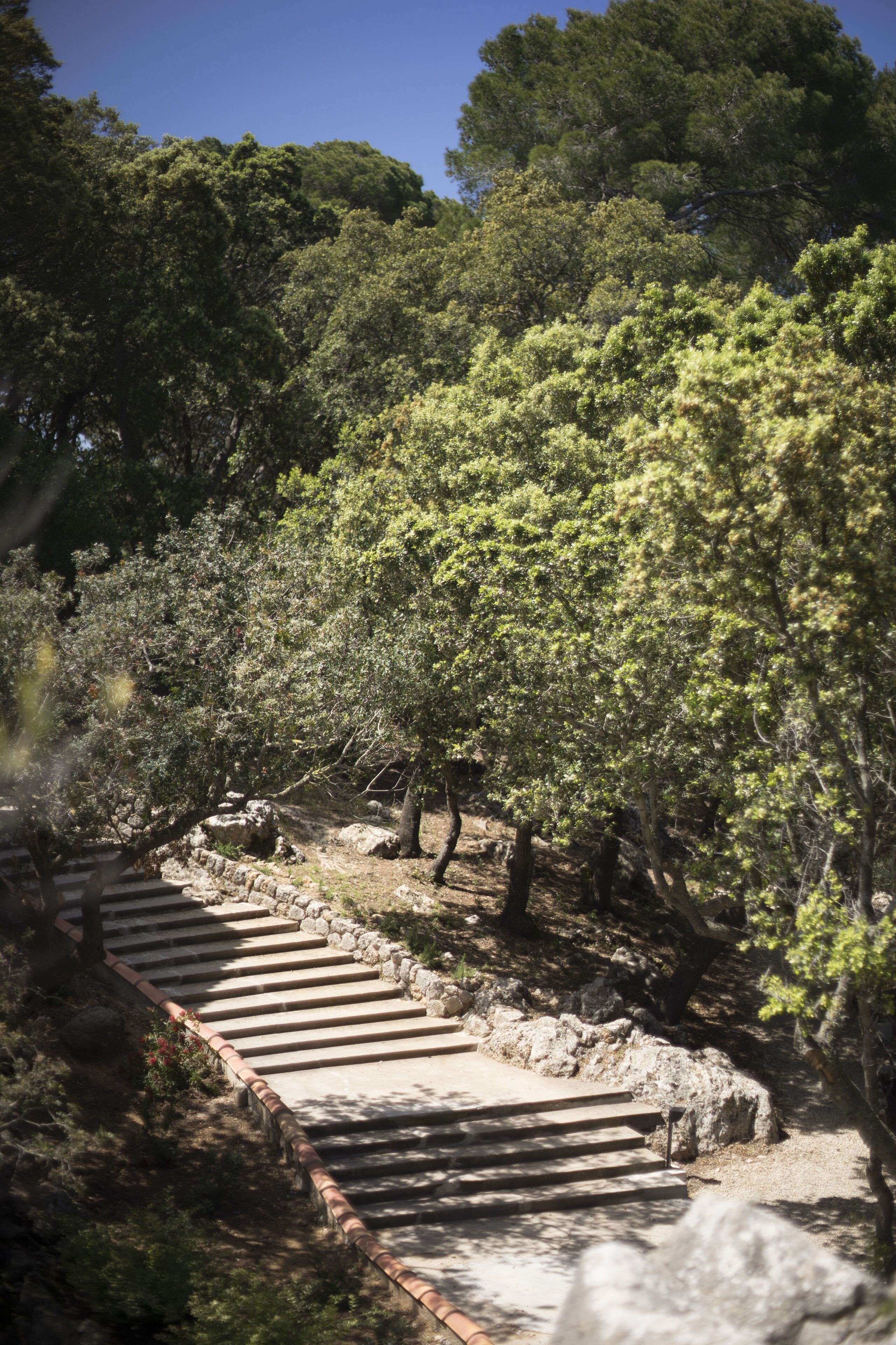 A stone staircase leading up a hill, surrounded by dense trees and greenery.