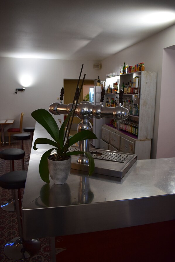 A bar area with a plant, a tap, and a shelf with bottles.