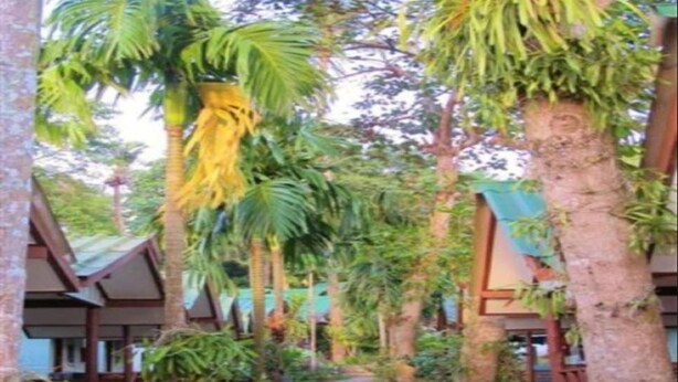Un sendero bordeado de árboles que conduce a un edificio con techo inclinado.