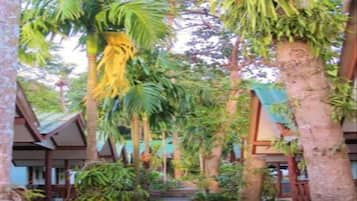 A pathway flanked by trees leading to a building with a sloped roof.
