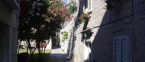 A narrow street with stone buildings, a parked motorcycle, and flowering trees.