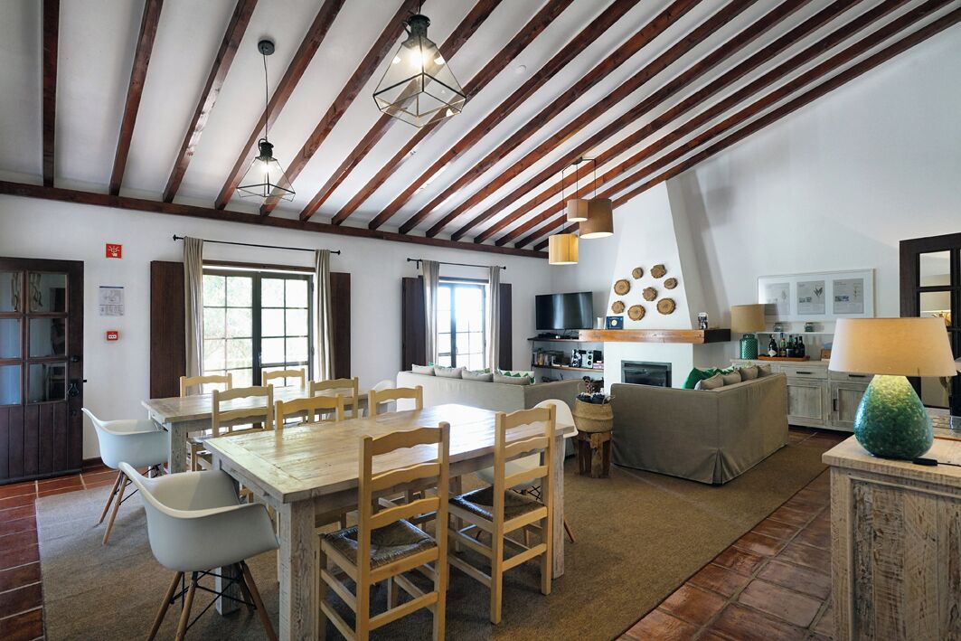 Un'ampia zona giorno con un tavolo da pranzo in legno, sedie e un divano. È presente un angolo cottura con TV e vari utensili da cucina. La stanza presenta travi a vista in legno e ampie finestre.