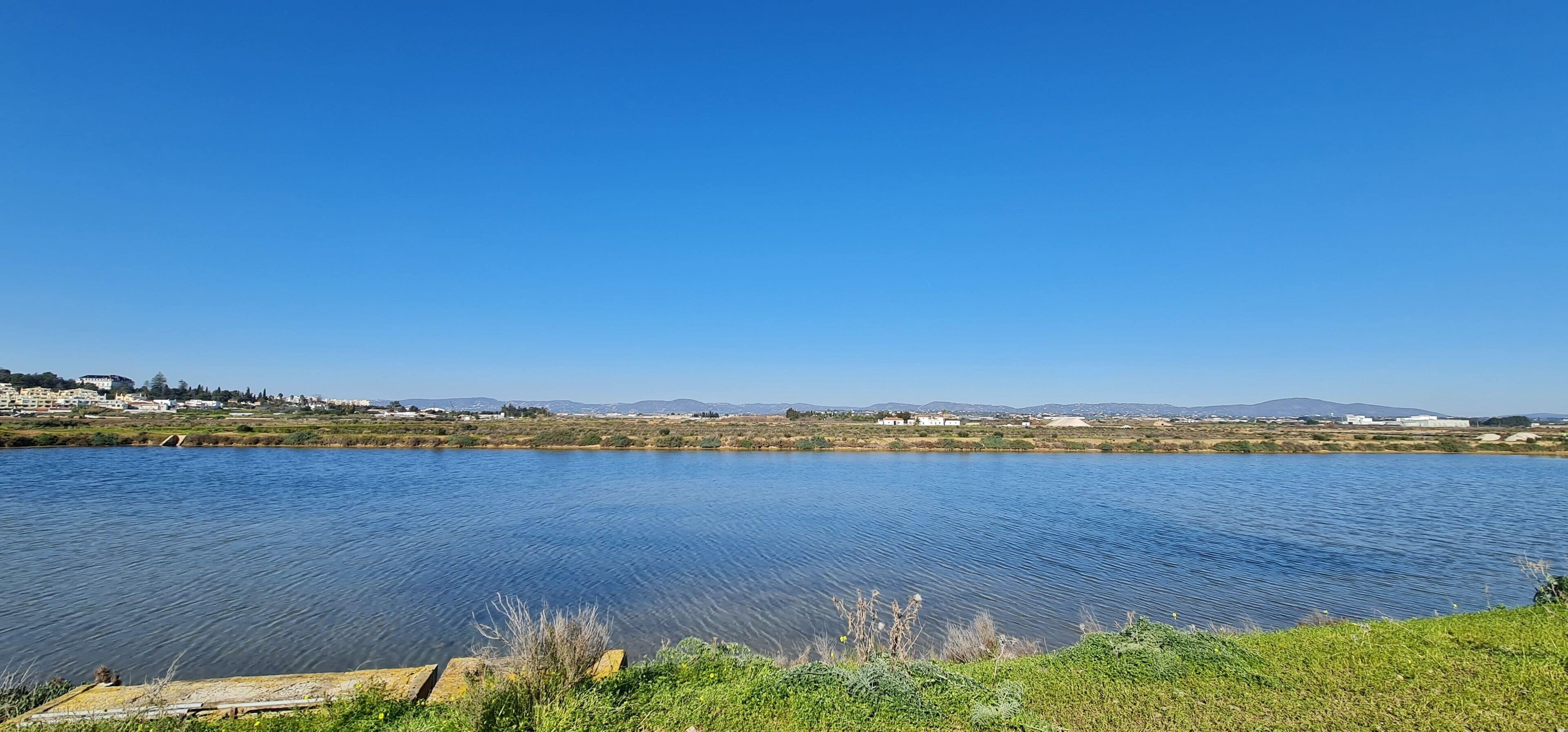 Un lago tranquilo con cielo azul despejado, rodeado de vegetación y edificios a lo lejos.