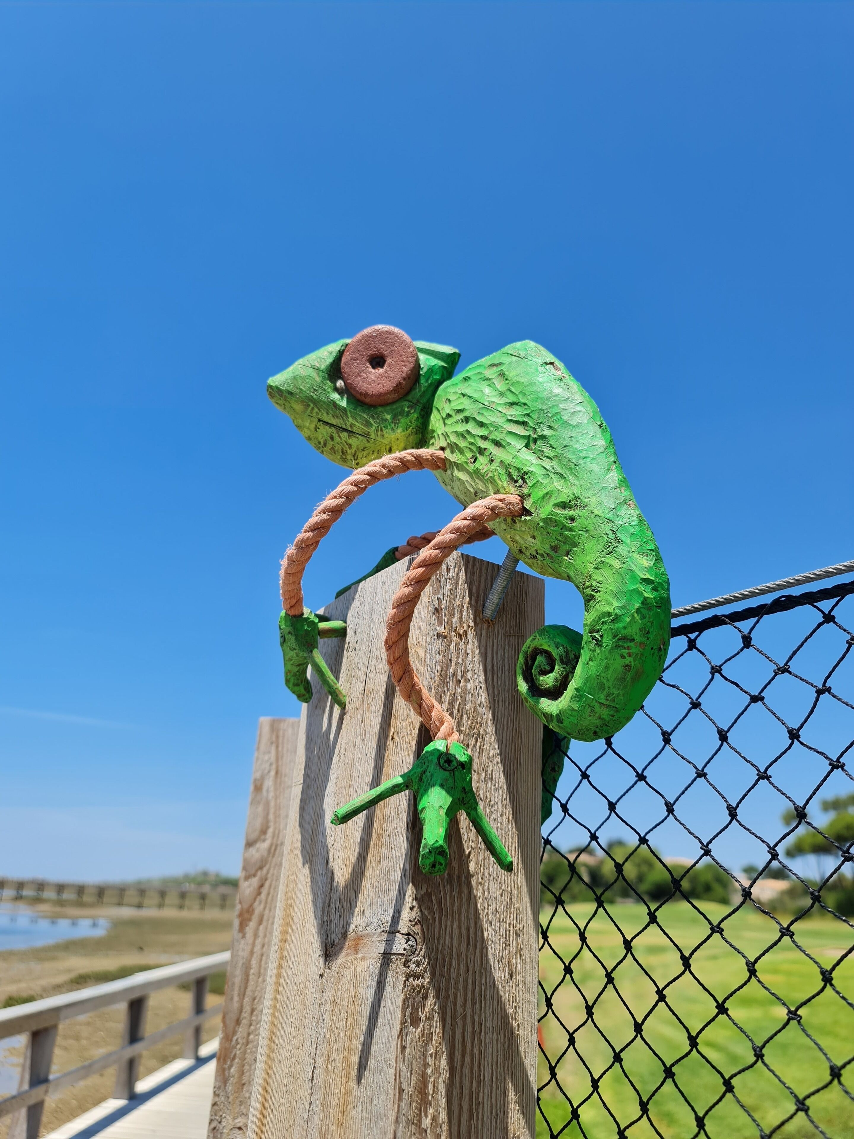 Foto - Sunlight House