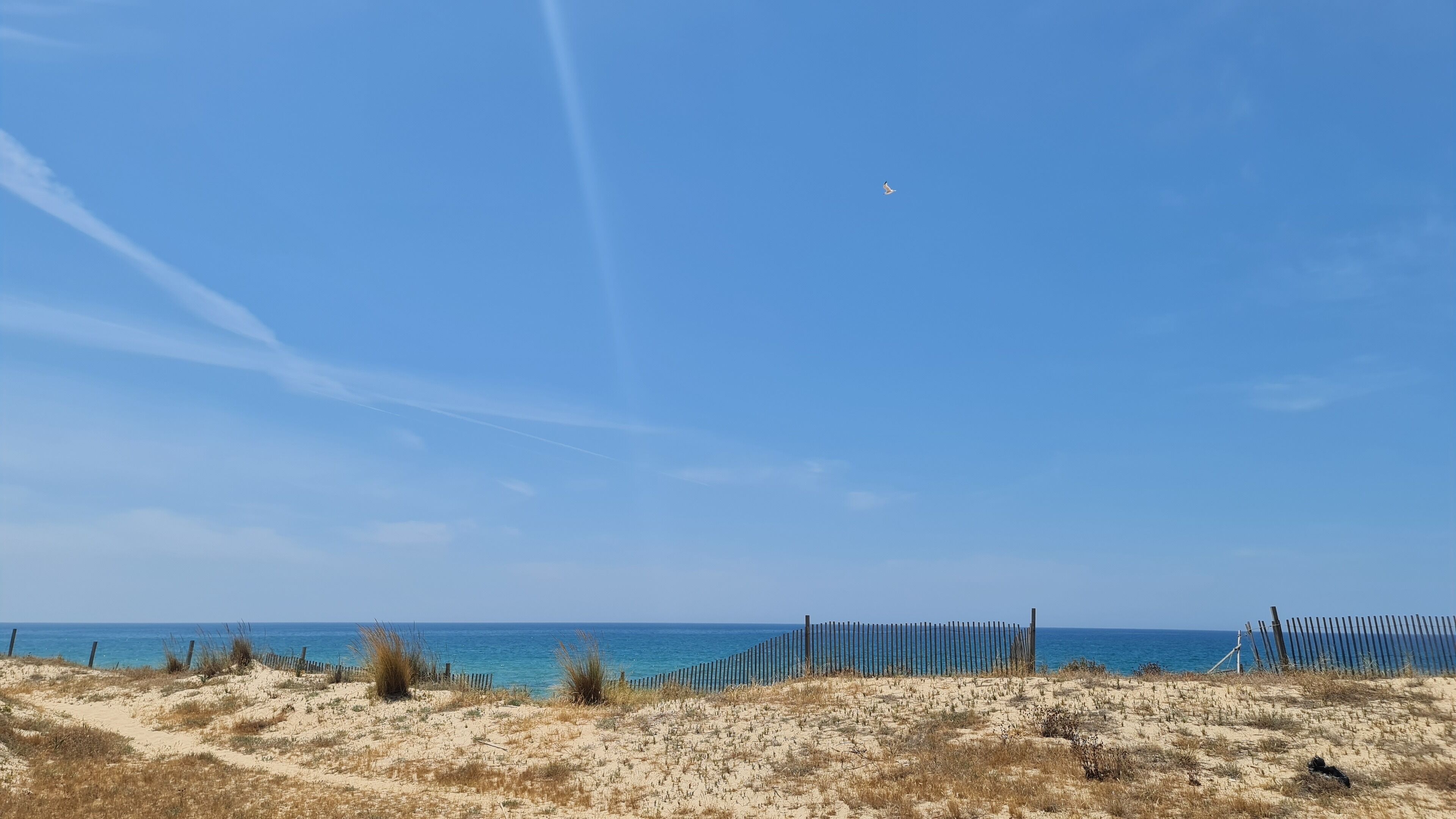 Foto - Sunlight House