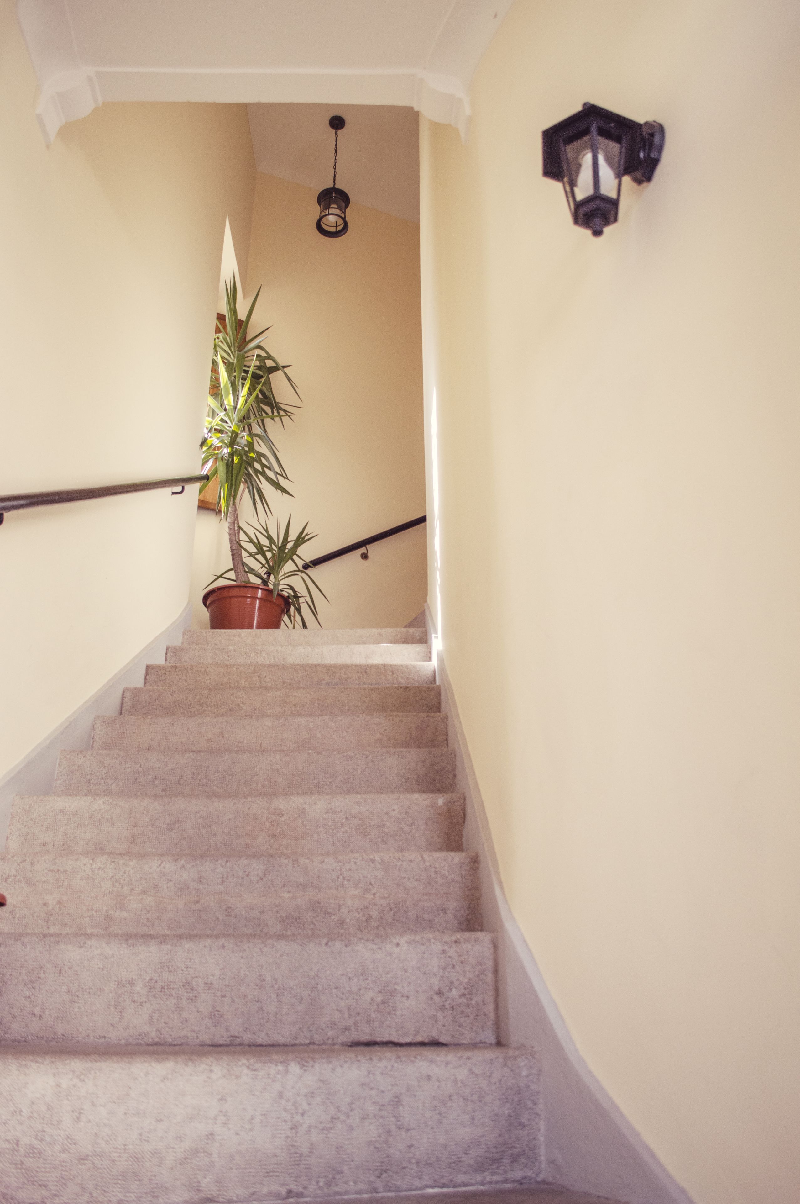 Foto - Sunlight House