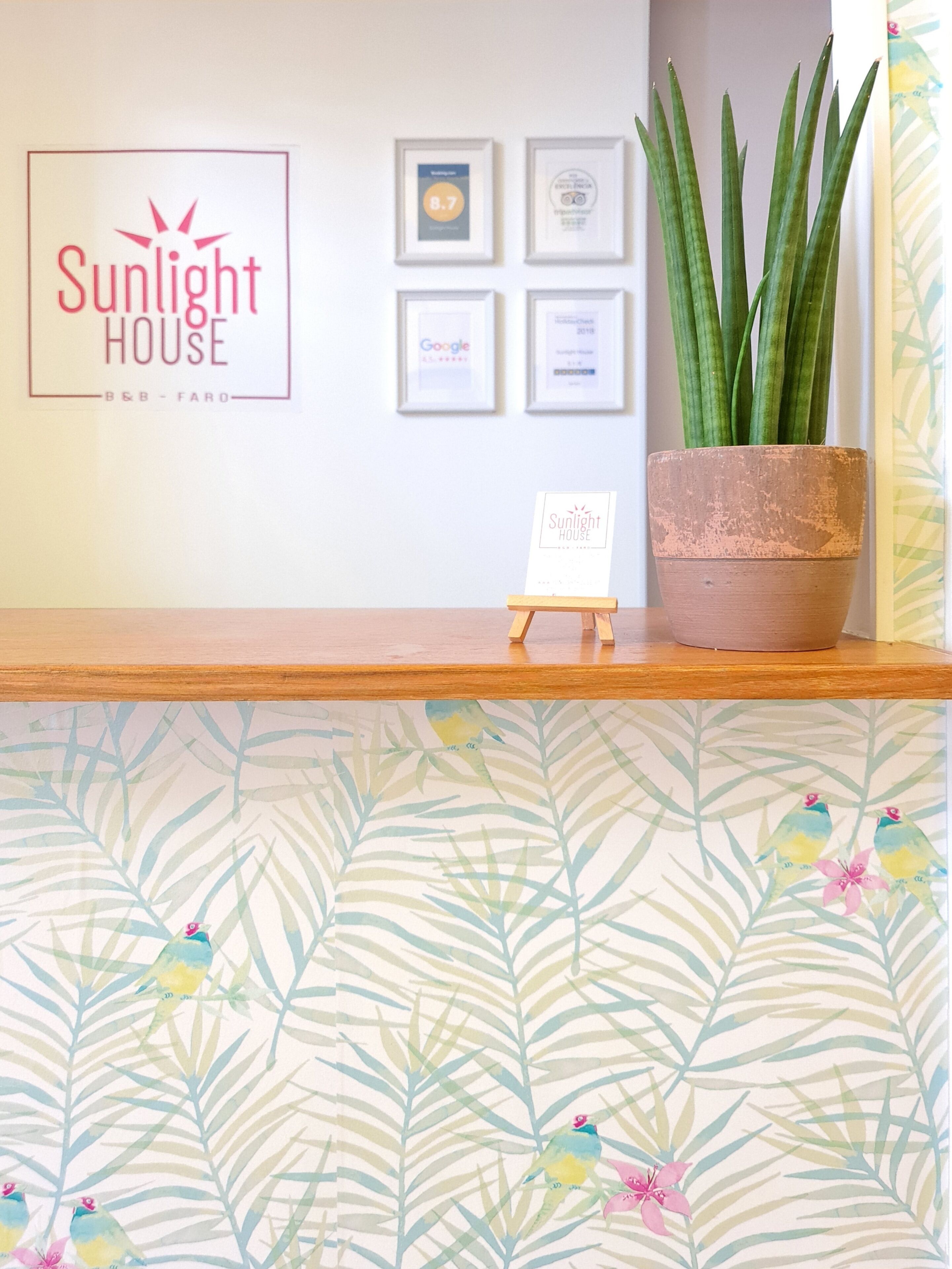 A reception desk with a 'Sunlight House' sign, framed awards, and a potted plant.