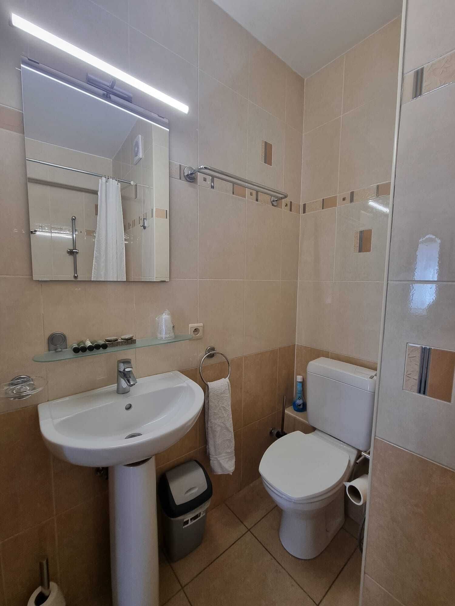 A bathroom with a sink, mirror, toilet, and shower area.