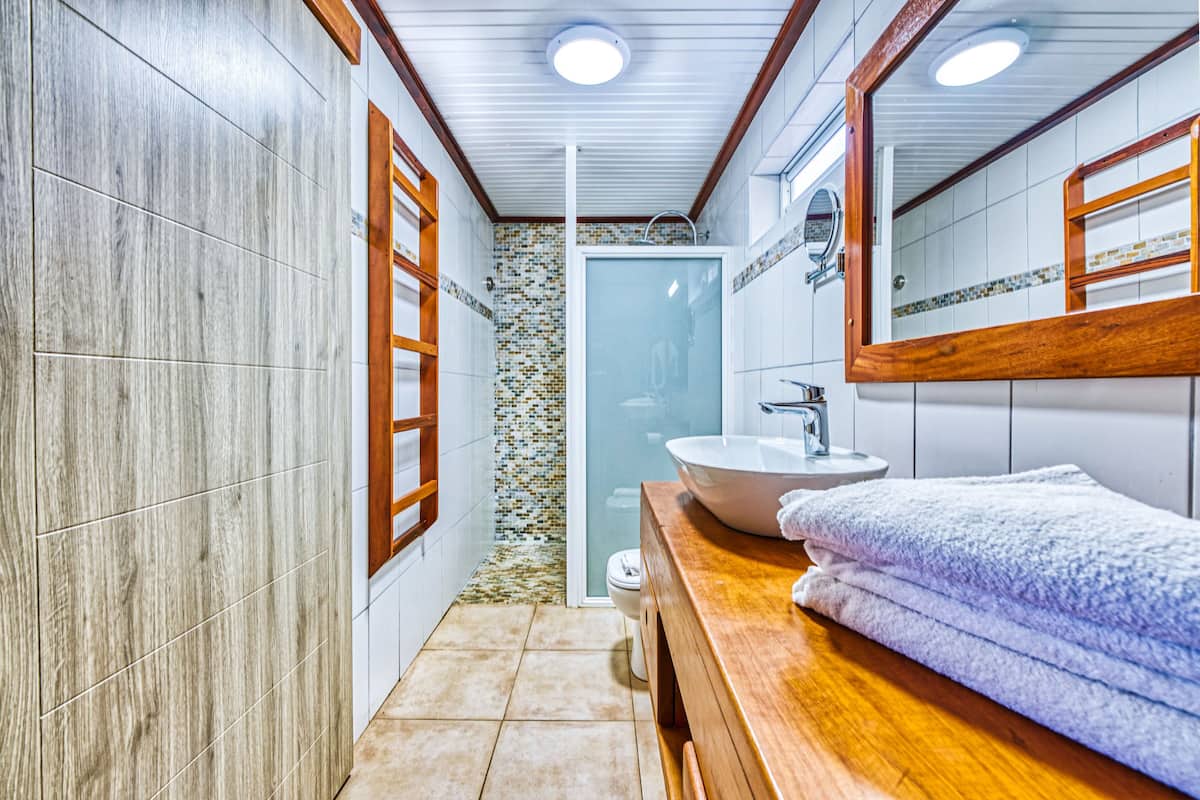 shower, free toiletries, hair dryer, towels