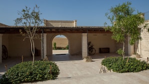 Un patio con arcos, plantas en macetas y una carretilla.