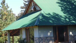 Bungalow, 2 Bedrooms - Complejo Cabañas Paso de Los Andes (Villa Pehuenia)