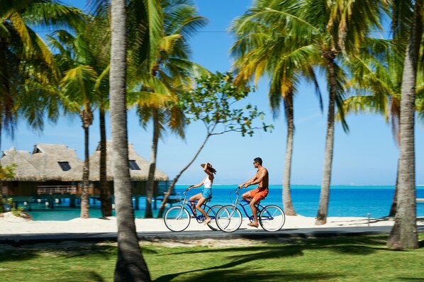 A couple riding bicycles on a beach path with palm trees and a thatched-roof building in the background.