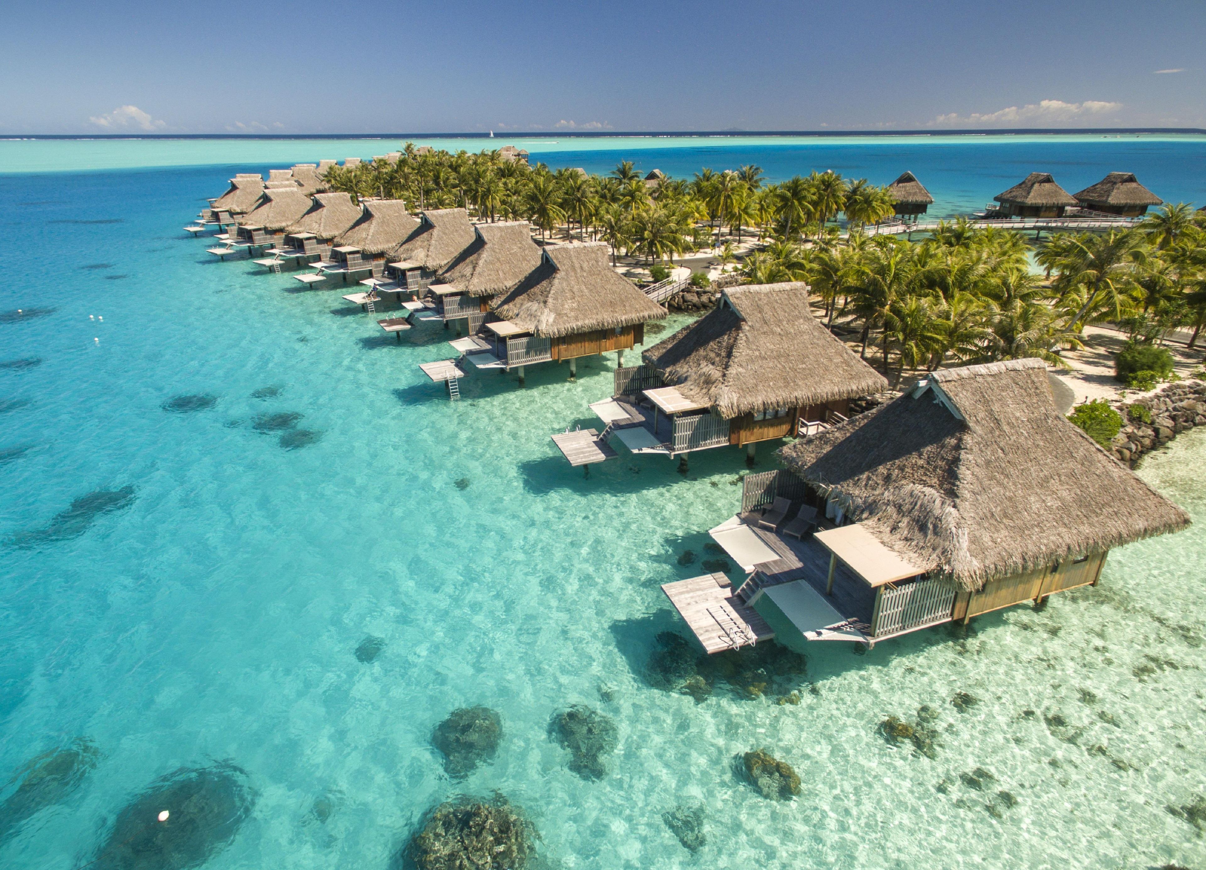 Overwater bungalows with thatched roofs, clear turquoise water, and palm trees.