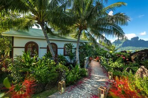 A tropical resort with a wooden deck, palm trees, and lush greenery.
