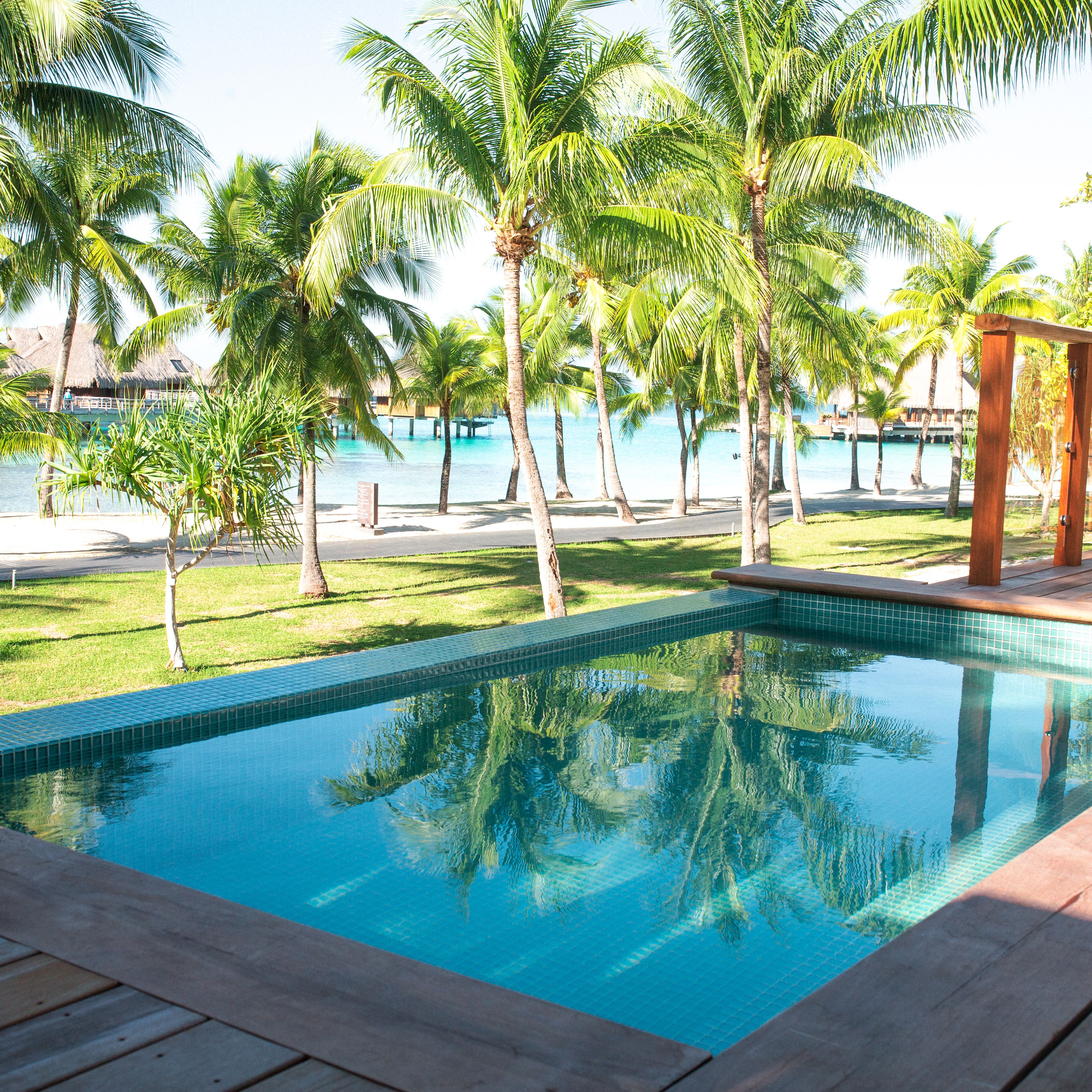 A clear swimming pool surrounded by palm trees and a view of the ocean.