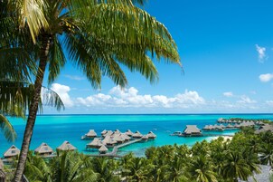 Un resort tropical con bungalows sobre el agua, palmeras y aguas turquesas cristalinas.