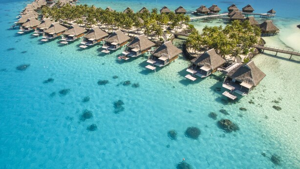 An overwater bungalows with thatched roofs, clear turquoise water, and palm trees. - Conrad Bora Bora Nui (Bora Bora)
