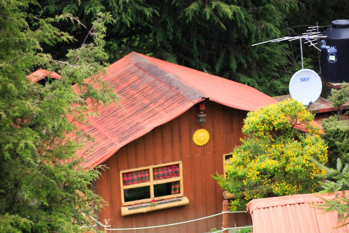 Family Cabin, 1 Bedroom, Mountain View, Mountainside | Individually decorated, individually furnished, iron/ironing board