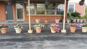 A building with a 'DOLLAR INN' sign, a 'HBO FREE' sign, and multiple flower planters in front. - Dollar Inn (Somerset)
