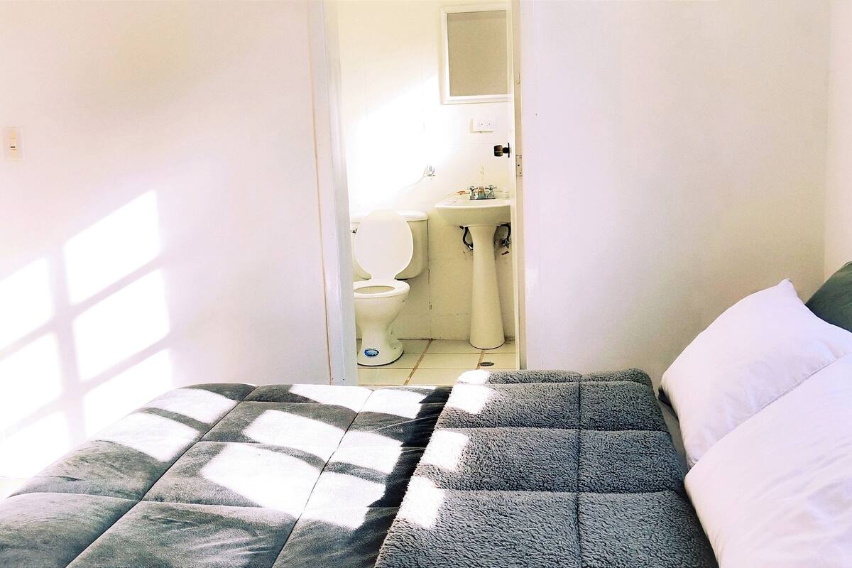 A bedroom with a bed, a chair, a toilet, and a sink.