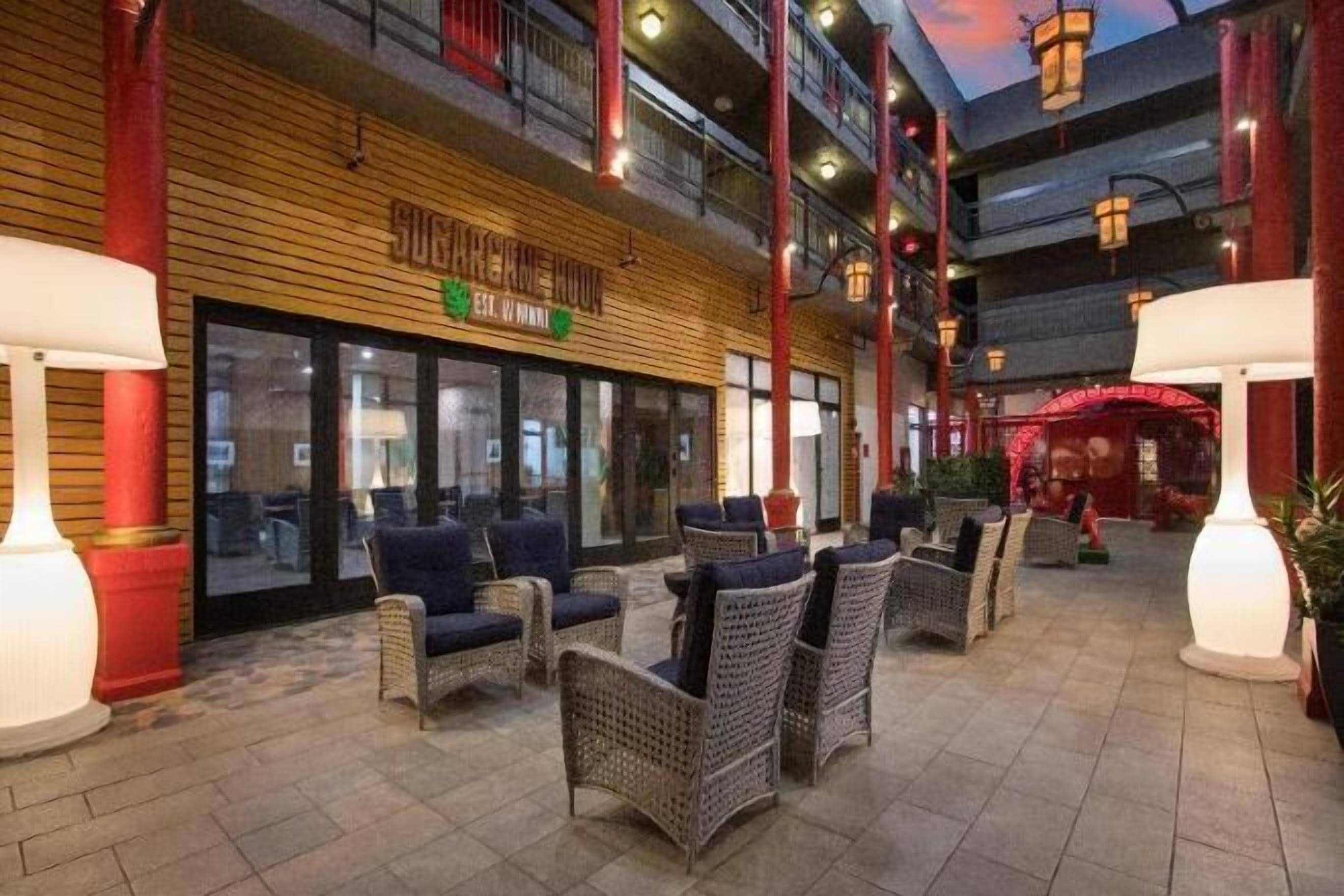 テラス / パティオ