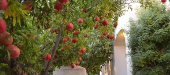 Garden Inn and Suites