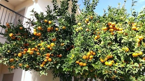 Porch - Garden Inn and Suites (Fresno)