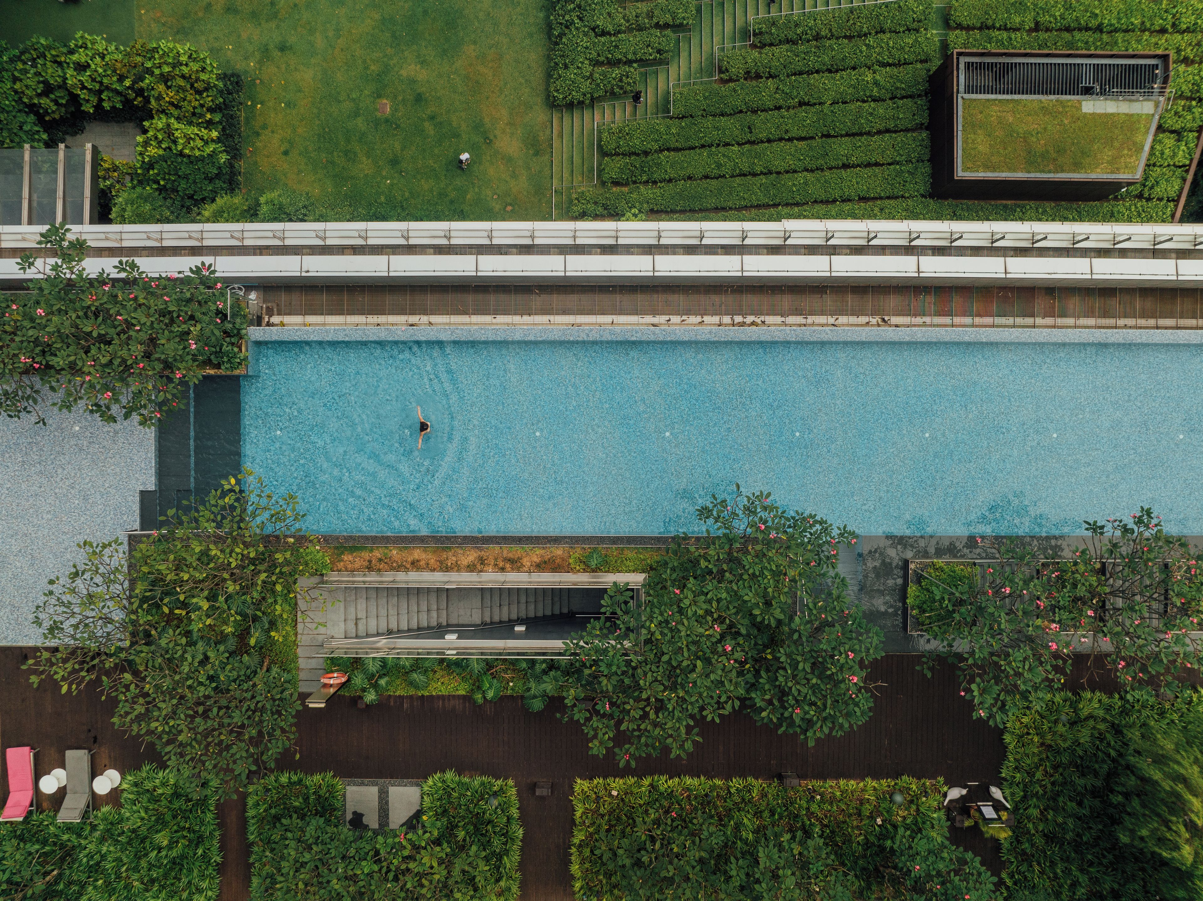 Vista aérea de una piscina rodeada de vegetación, con un paseo cubierto arriba.