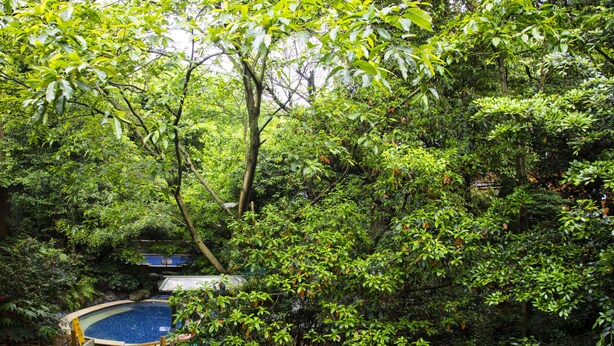 Una piscina interior rodeada de abundante vegetación, con dos personas flotando en el agua.