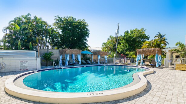 Uma piscina com borda curva, rodeada por espreguiçadeiras e guarda-sóis, com uma placa de 'No Diving' visível.