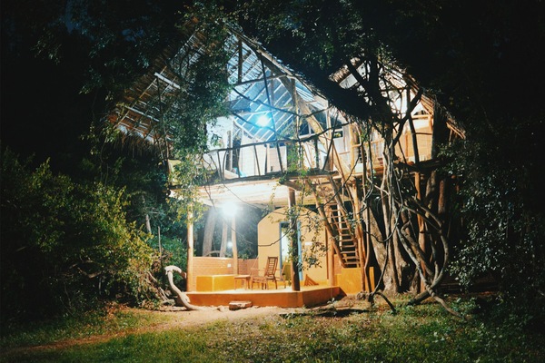 Deluxe-træhus - 1 soveværelse - balkon - udsigt til have | Udendørsområde