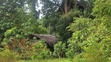 Family Tree House, 1 Bedroom, Non Smoking, Garden View | In-room safe, free WiFi, bed sheets