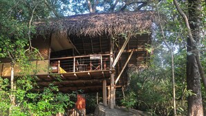 Une construction rustique en bois, dotée d’un toit de chaume, érigée sur un rocher et accessible par un escalier.