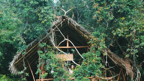 Une cabane perchée dans un arbre, dotée d’un toit de chaume et d’une plateforme en bois, entourée d’un feuillage dense.
