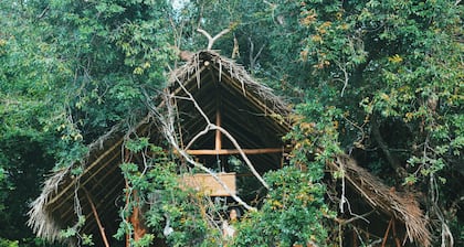 Back of Beyond - Dehigaha Ela