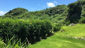 Un paisatge verdós i abundant, amb cel clar, zona enjardinada i vegetació densa.