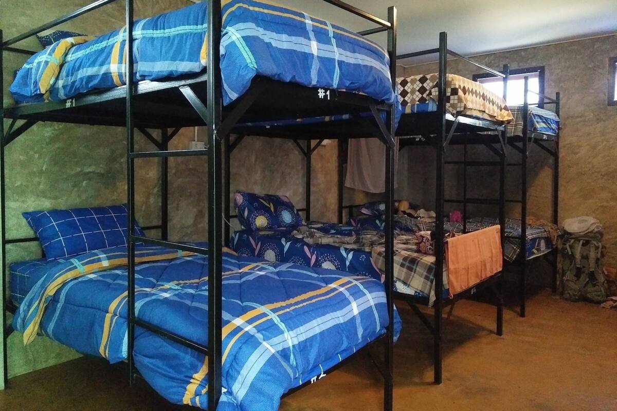 A bunk bed room with blue bedding and a checkered pillow.
