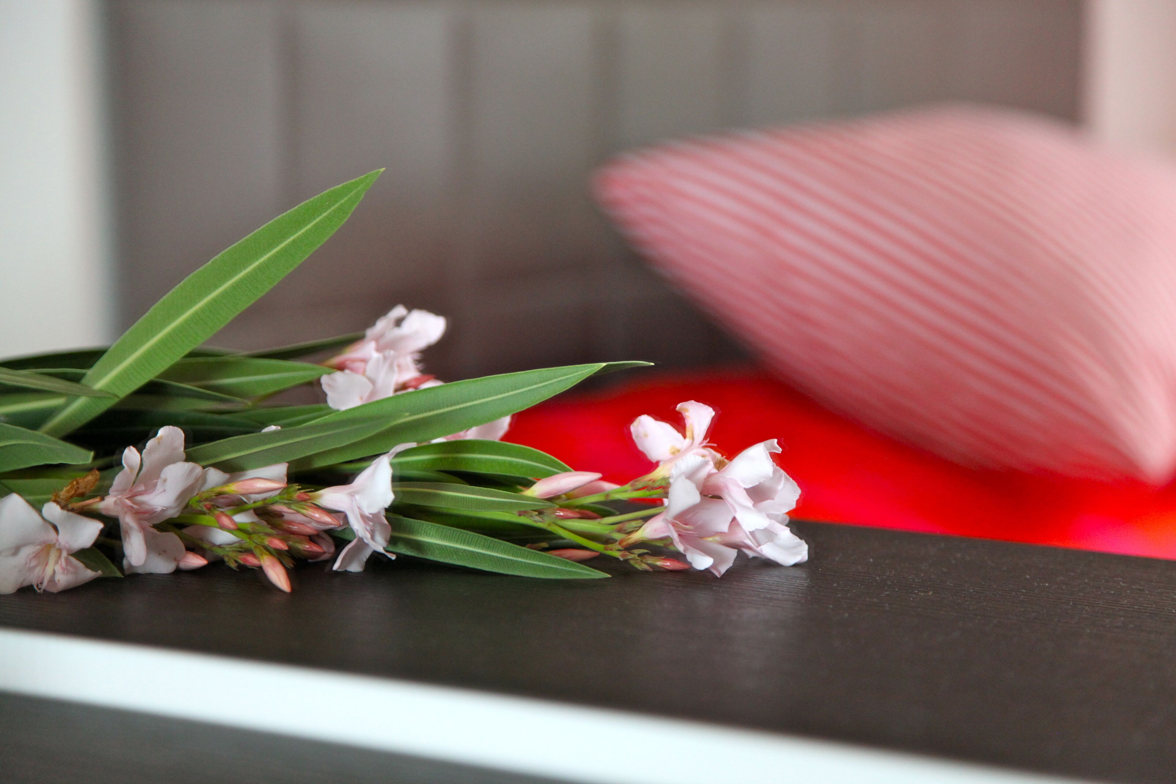 A bouquet of flowers with green leaves and pink blossoms on a dark surface.