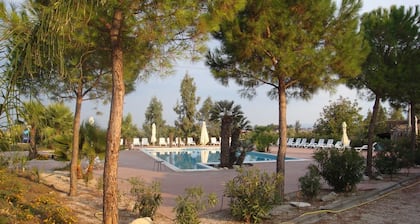 Agriturismo Masseria Portiere Stella
