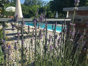 Seasonal outdoor pool, pool umbrellas, pool loungers