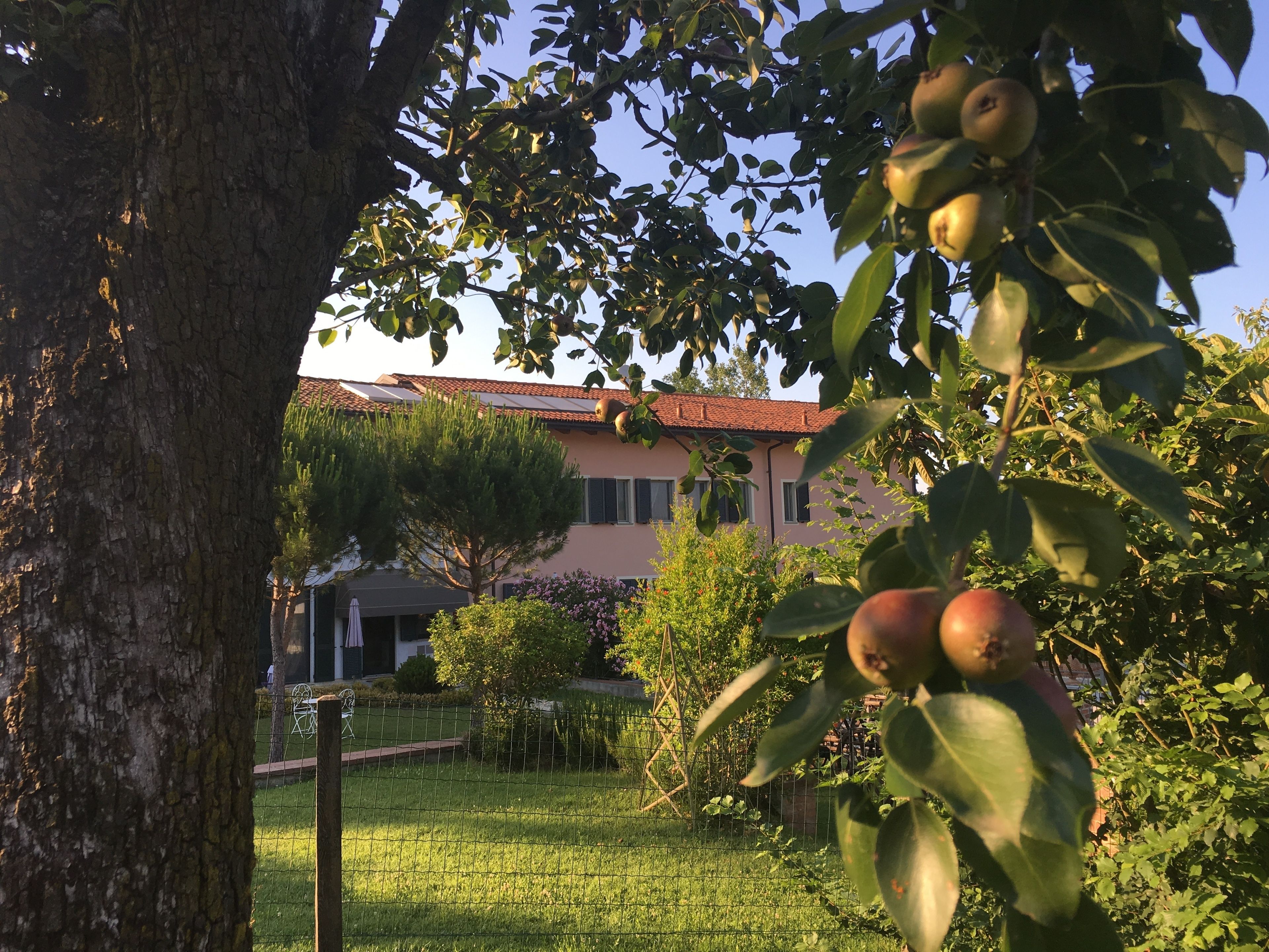 Une maison avec un jardin, un arbre et une clôture.