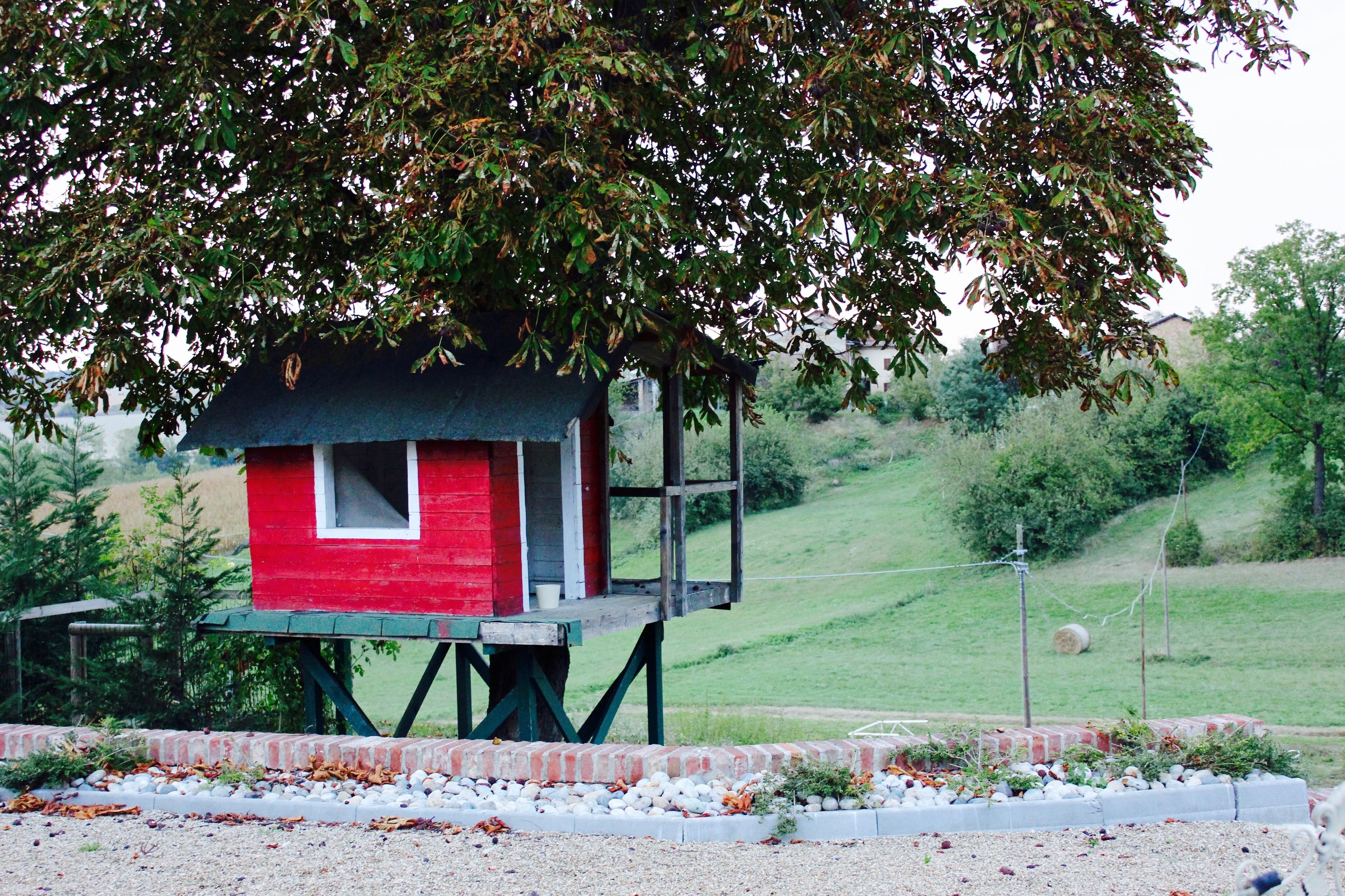 Estructura de madera roja con ventana, sostenida por un marco metálico verde, ubicada sobre un sendero de grava con borde blanco, rodeada de follaje y una colina cubierta de hierba al fondo.