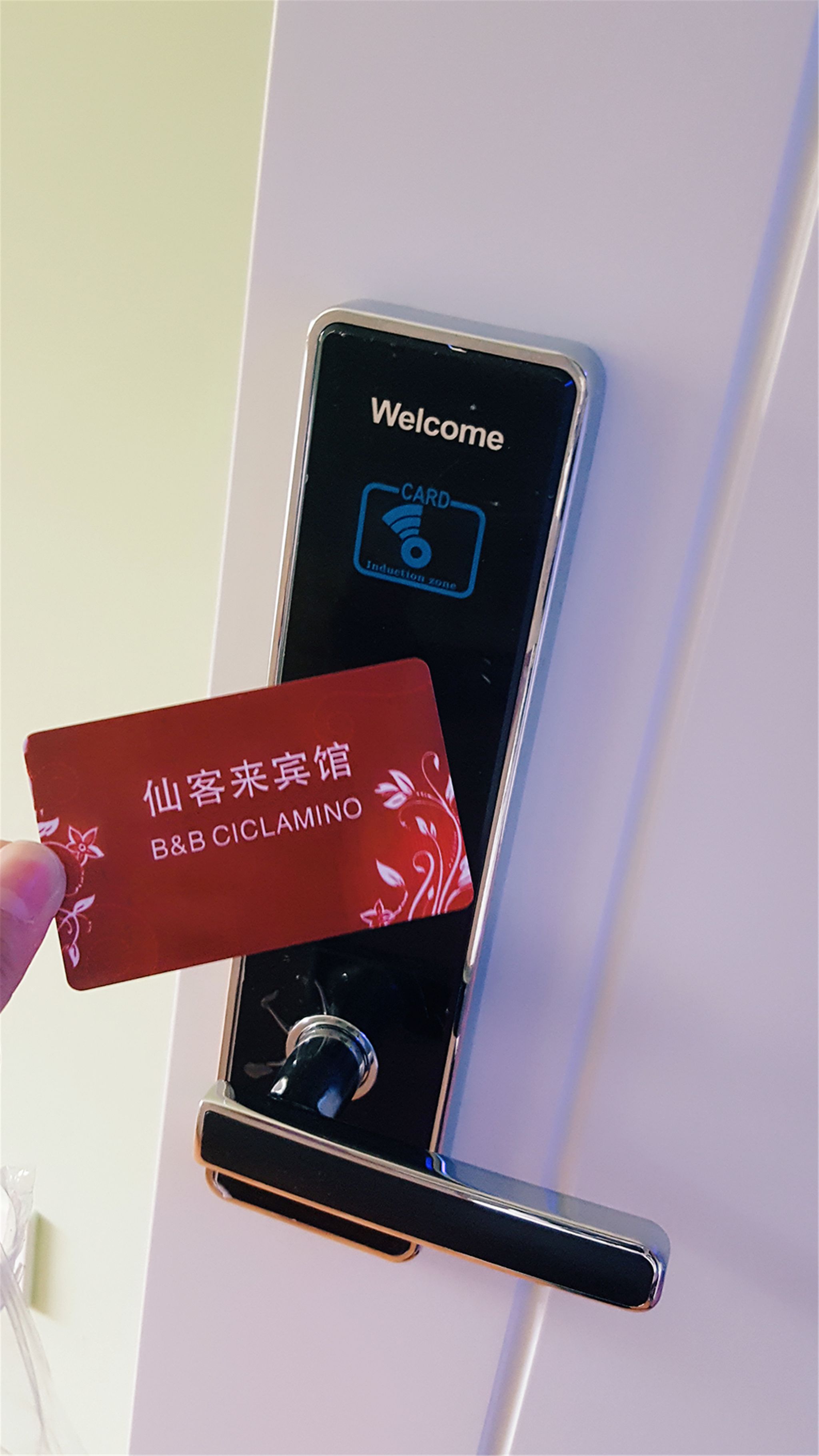 Photo - Ciclamino Siracusa