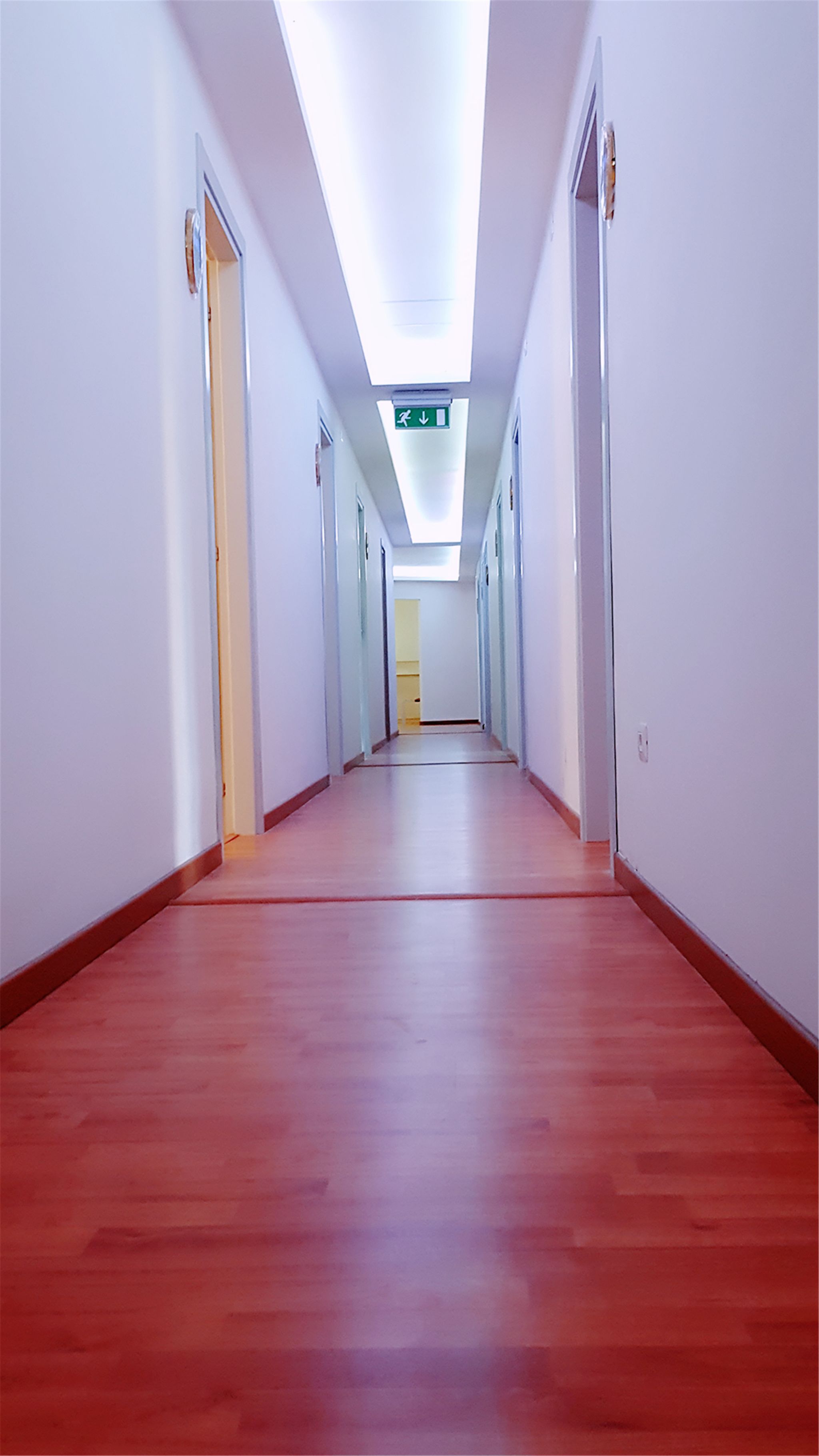 Photo - Ciclamino Siracusa