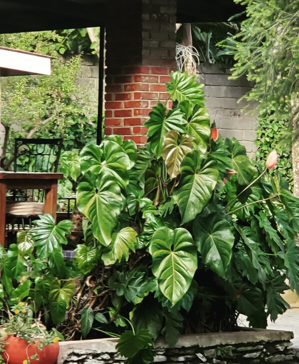 Spécialités Cuisine locale et internationale